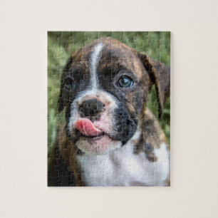 Puzzles Brindle de chien de boxeur de puzzle de