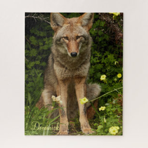 Puzzles Coyote