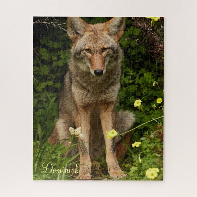 Puzzles Coyote (Vertikal)