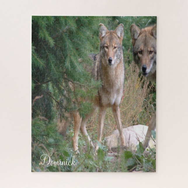 Puzzles Coyote (Vertical)