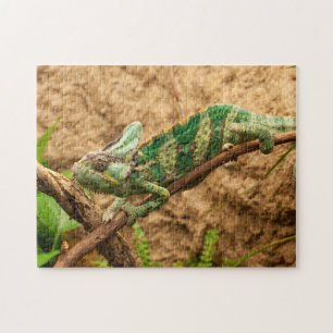Puzzles d'animaux un animal puzzles Lizard Puzzles