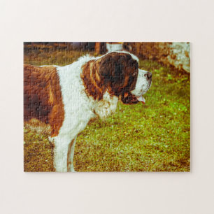 Puzzles de chien Saint-Bernard.