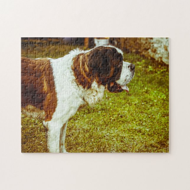 Puzzles de chien Saint-Bernard. (Horizontal)