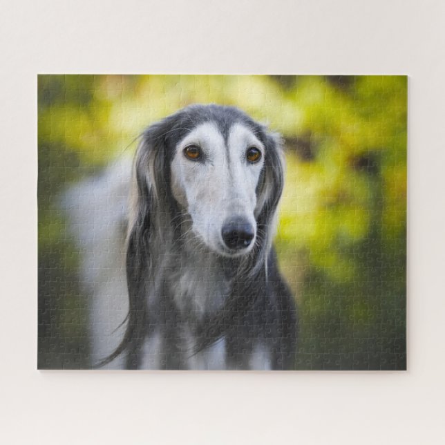 Puzzles de chien Saluki. (Horizontal)
