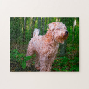 Puzzles de chien Terrier Irlandais.