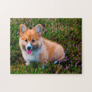 Puzzles de chiens Welsh Corgi.