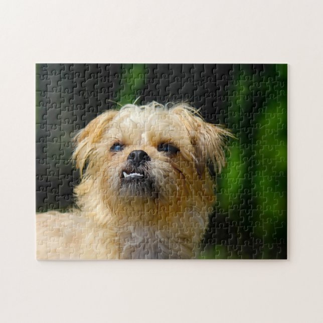 Puzzles de Griffon. (Horizontal)
