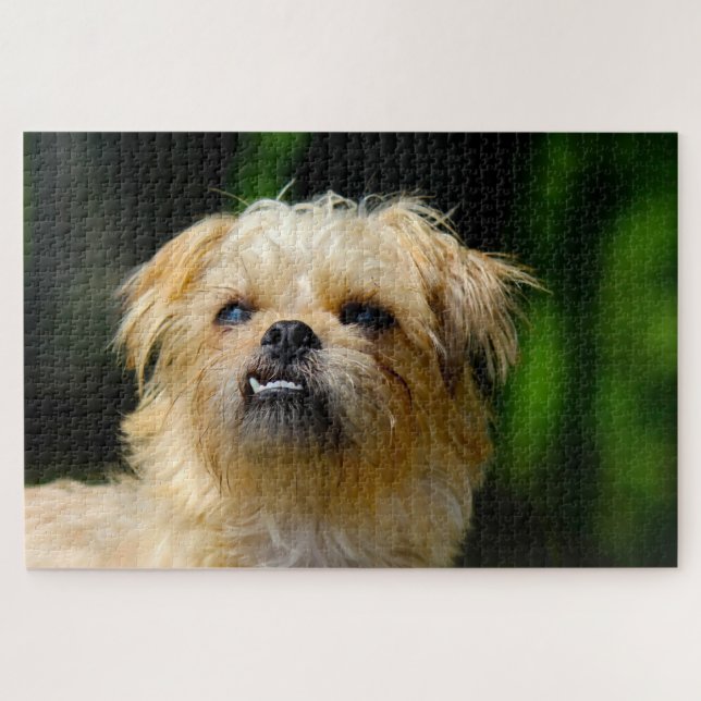 Puzzles de Griffon. (Horizontal)