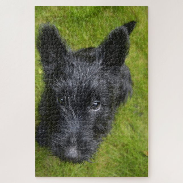 Puzzles de Terrier Écossais. (Vertical)