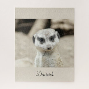 Puzzles Meerkat