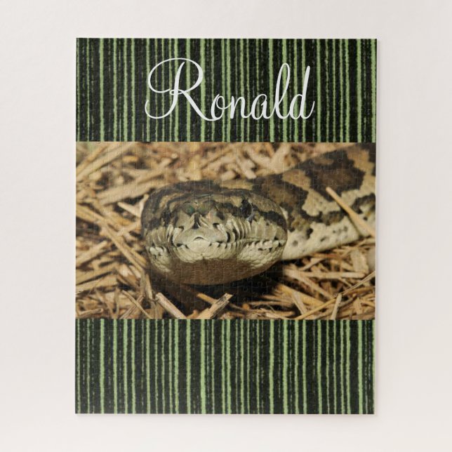 Puzzles serpent vert (Vertical)