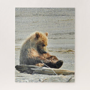 Puzzlespiel 16x20 des Grizzlybärjungen