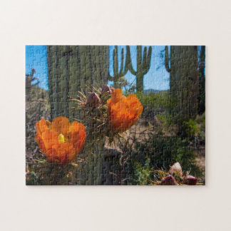 Puzzlespiel - Kakteen - Blumen - Arizona