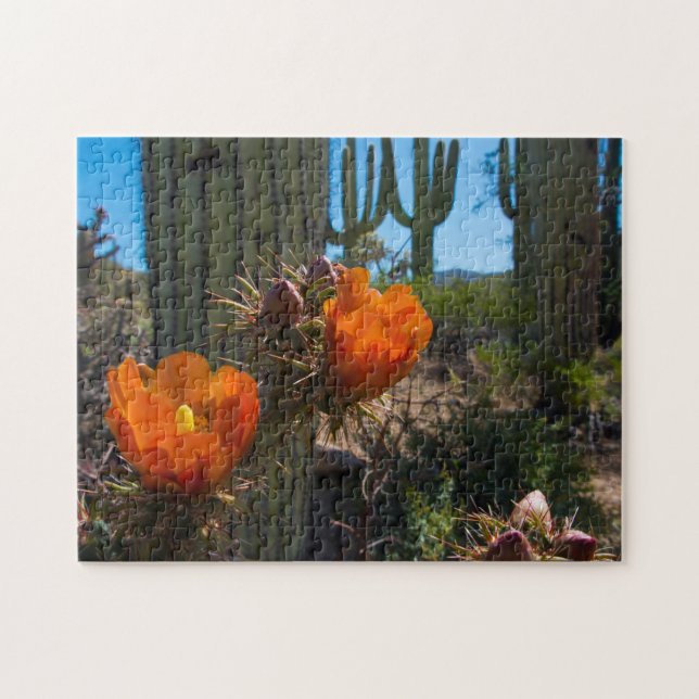 Puzzlespiel - Kakteen - Blumen - Arizona (Horizontal)