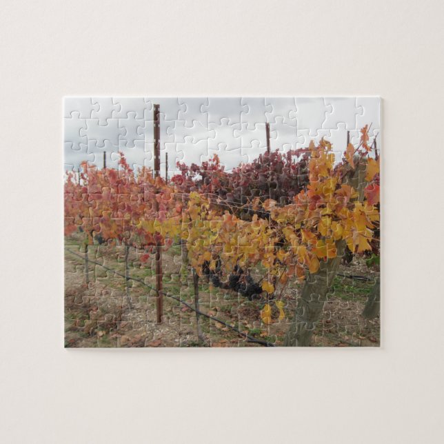 Puzzlespiel: Kalifornien-Weinberg vor Ernte im (Horizontal)