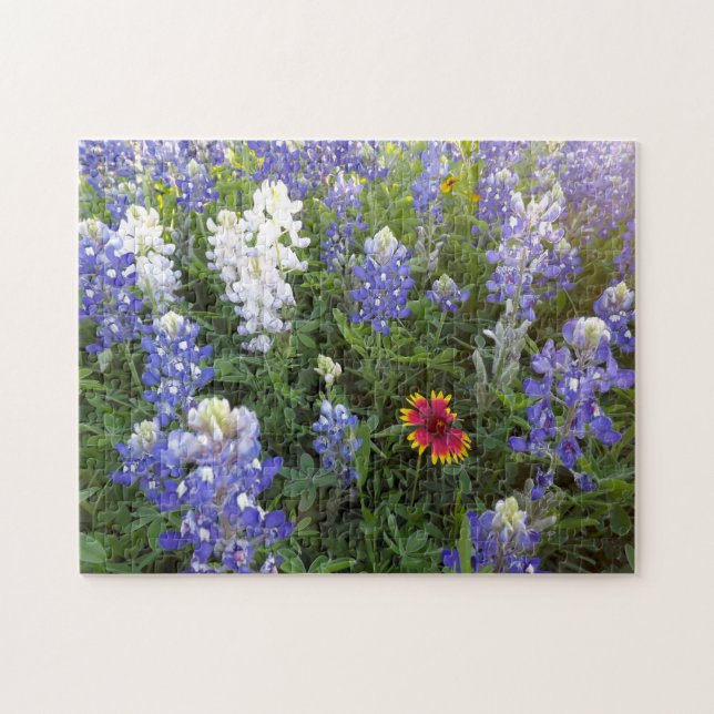 Puzzlespiel Texas-Wildblumen-10x14 (Horizontal)