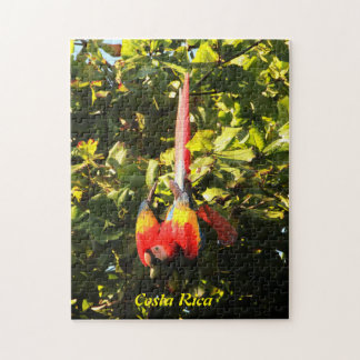 PuzzlespielScharlachrot Macaw-
