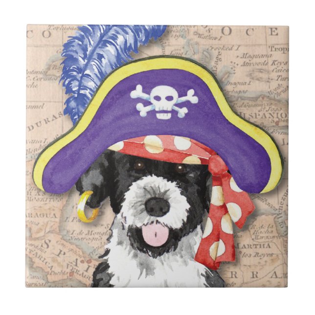 PWD Pirate Fliese (Vorderseite)