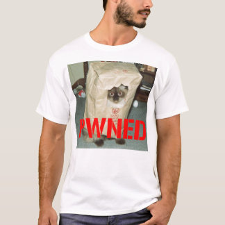 pwnage, das Gamersmotto T-Shirt