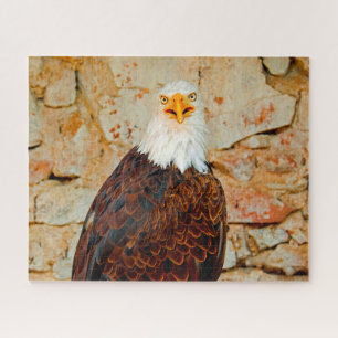 Pygargue à tête blanche Oiseau de Proie. Puzzle
