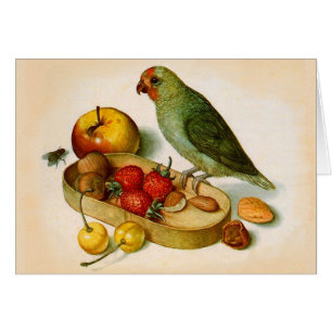 Pygmäen mit Früchten und Nuts