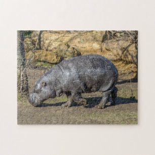 Pygmäenflusspferdpuzzlespiel