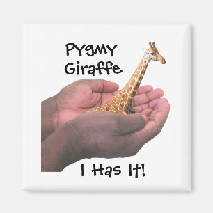 Pygmäengiraffe Magnet