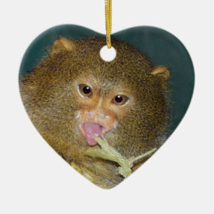 Pygmäenmarmoset-Weihnachtsverzierung Keramik Ornament