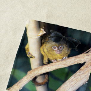 Pygmée Marmoset Tree Hugger, Serviette de plage