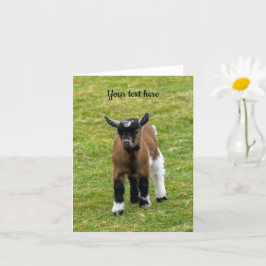 Pygmy Goat Kid Grußkarte Karte