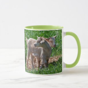 Pygmy Goat Kids Tasse