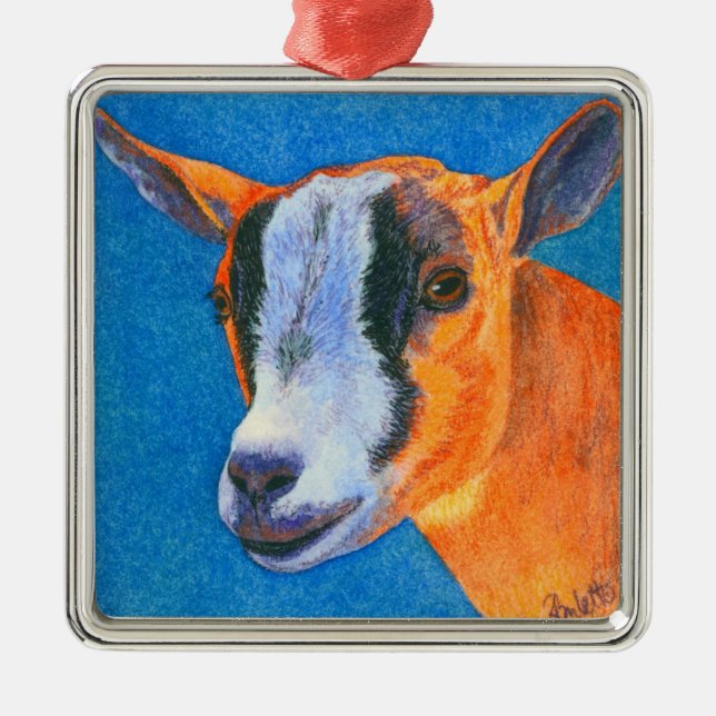 Pygmy Goat Ornament (Vorne)