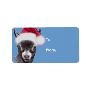 Pygmy Goat Santa Goat Weihnachtsgeschenk-Tag Adressaufkleber