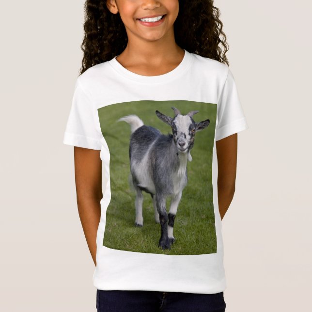 Pygmy Goat T-Shirt (Vorderseite)