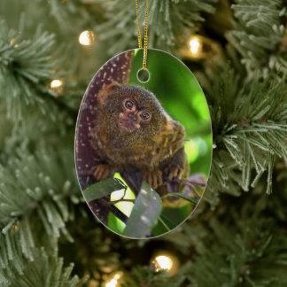 Pygmy Marmoset Magic Keramik Ornament