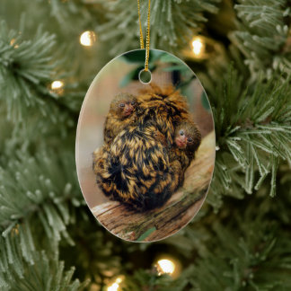Pygmy Marmoset mit Twins Keramik Ornament