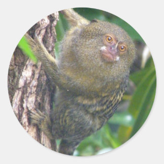 Pygmy Marmoset Runder Aufkleber