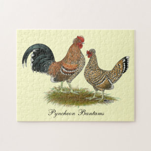 Pyncheon Bantams
