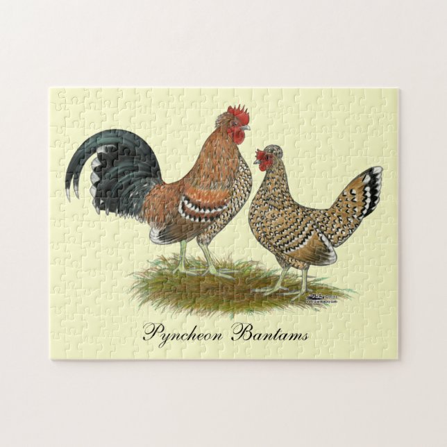 Pyncheon Bantams (Horizontal)