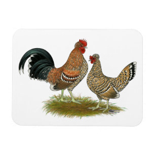 Pyncheon Bantams Magnet