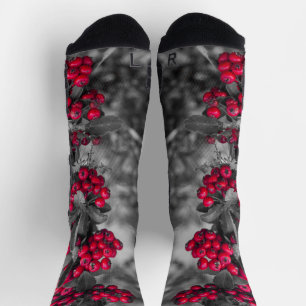 Pyracantha-Beeren-Rote und Graue Socken