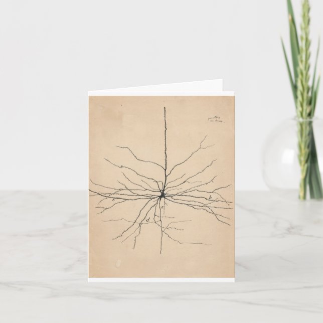 Pyramida Neuron Zeichnend von Santiago Ramón Y Caj Karte (Vorderseite)