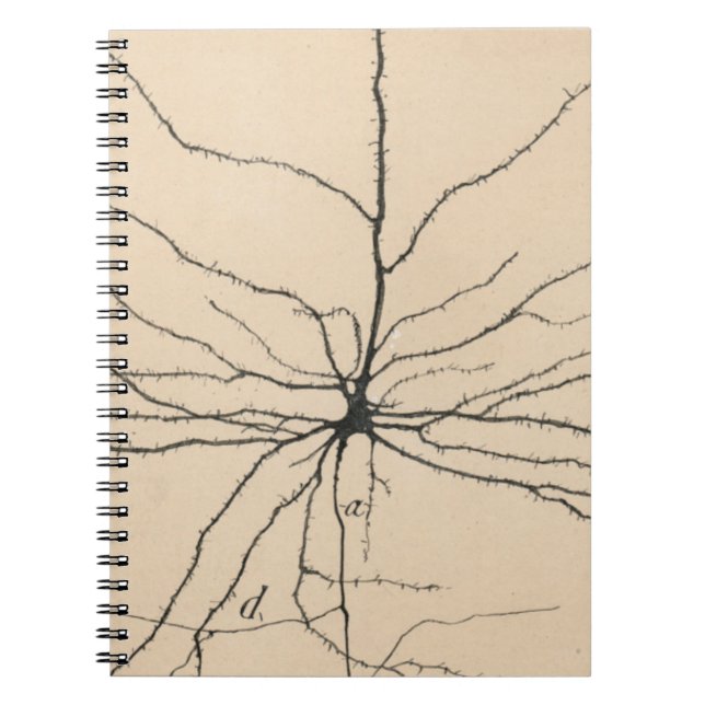 Pyramida Neuron Zeichnend von Santiago Ramón Y Caj Notizblock (Vorderseite)