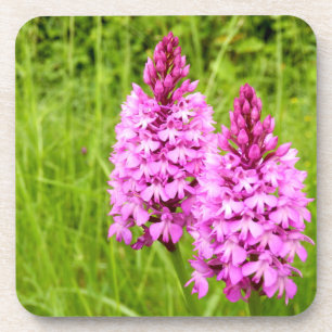 Pyramidal Orchid Hard Plastic Untersetzer