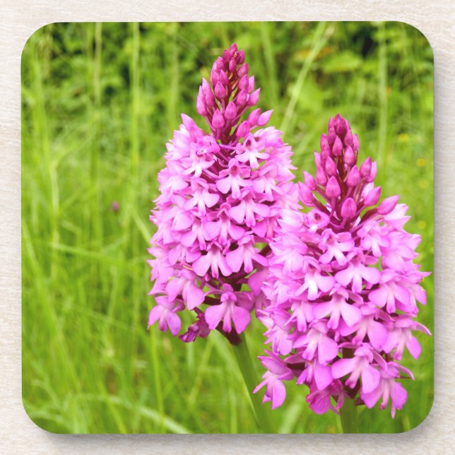 Pyramidal Orchid Hard Plastic Untersetzer (Vorderseite)
