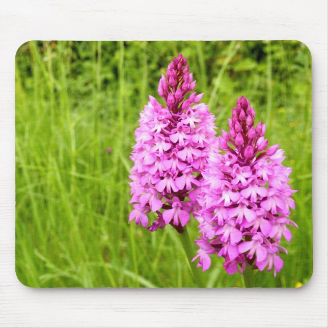 Pyramidal Orchid Mouse Mat Mousepad (Vorne)
