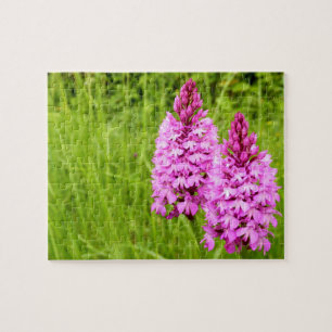Pyramiden-Orchis Foto-Puzzle