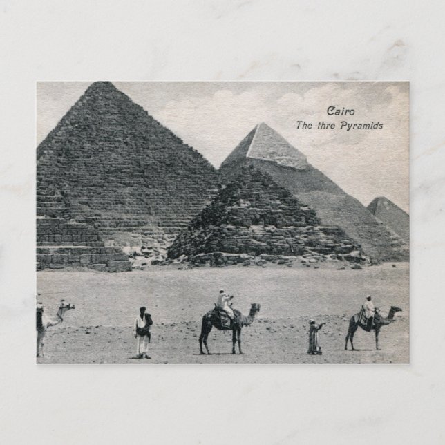 Pyramiden und Kamele, Kairo Ägypten Vintag Postkarte (Vorderseite)