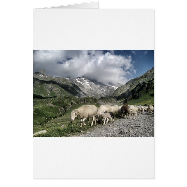 Pyrenäenlandschaft (Vorne)