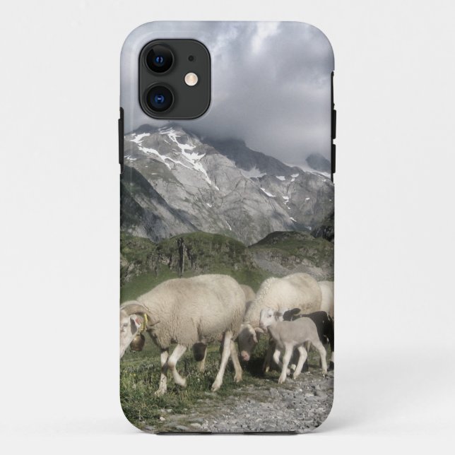 Pyrenäenlandschaft Case-Mate iPhone Hülle (Rückseite)